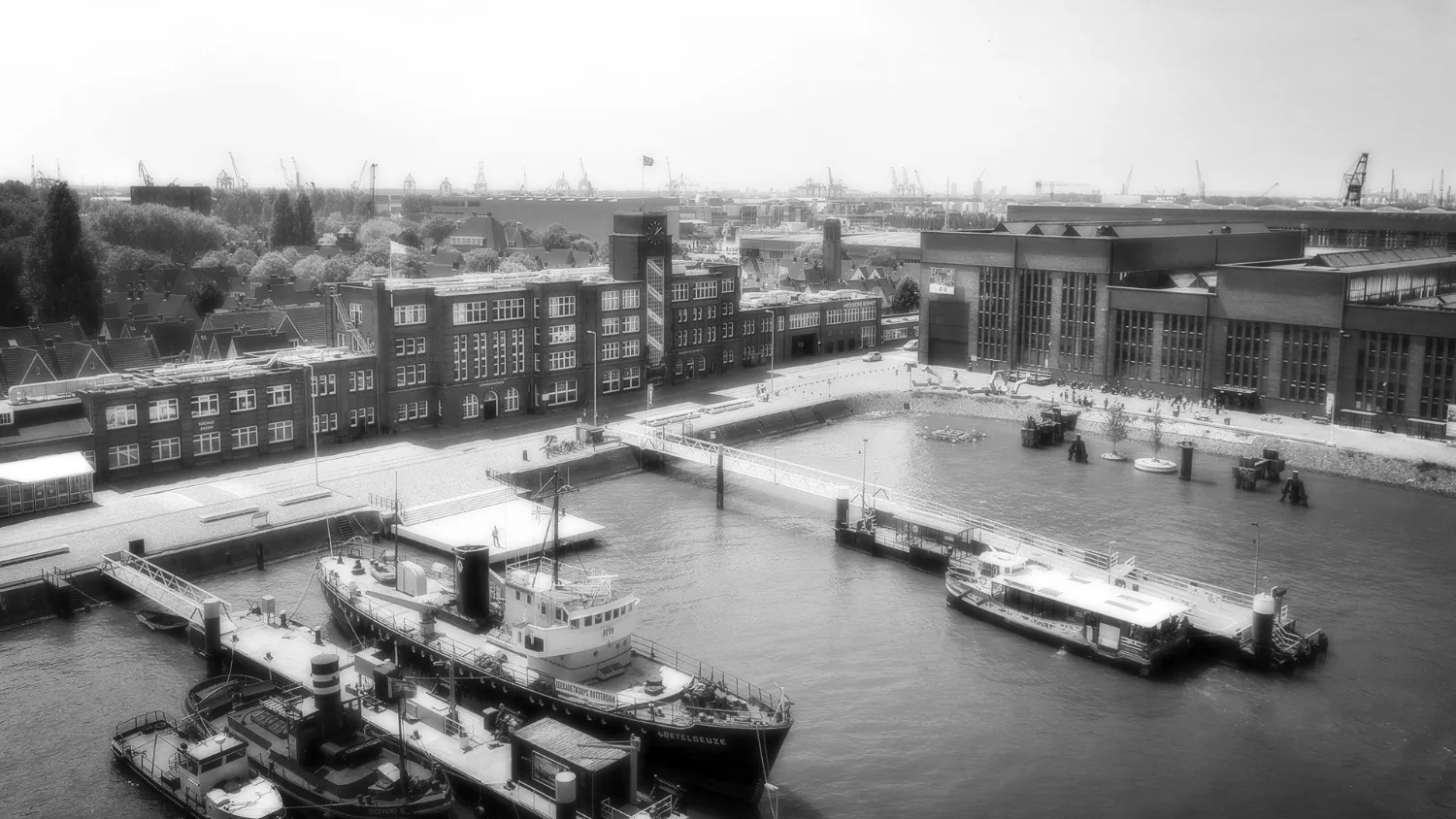 MariTeam Shipping Agencies harbor view