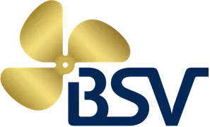 BSV logo